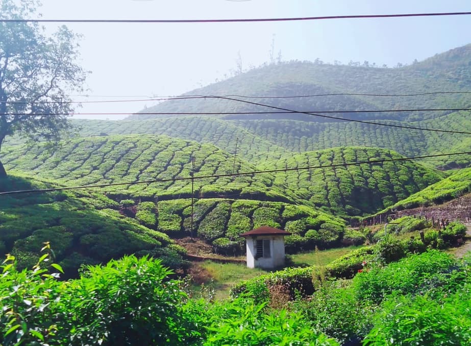 Tezpur, Assam