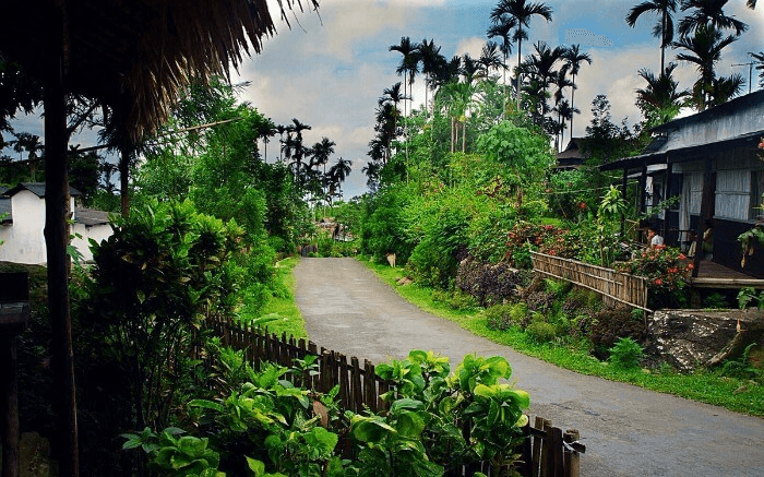 Clean bamboo pathways and traditional Khasi houses in Mawlynnong, Asia's cleanest village in Meghalaya known for its spotless streets and eco-friendly community.