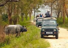 Pobitora Wildlife Sanctuary